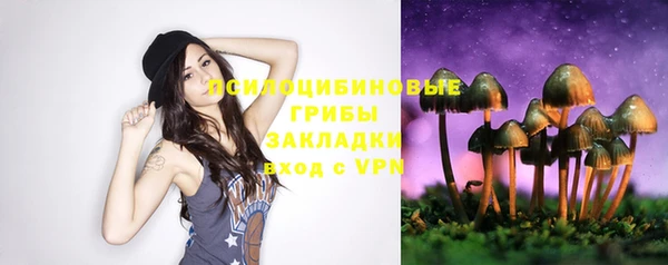 мяу мяу мука Каменка