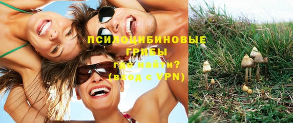 мет Каменск-Шахтинский